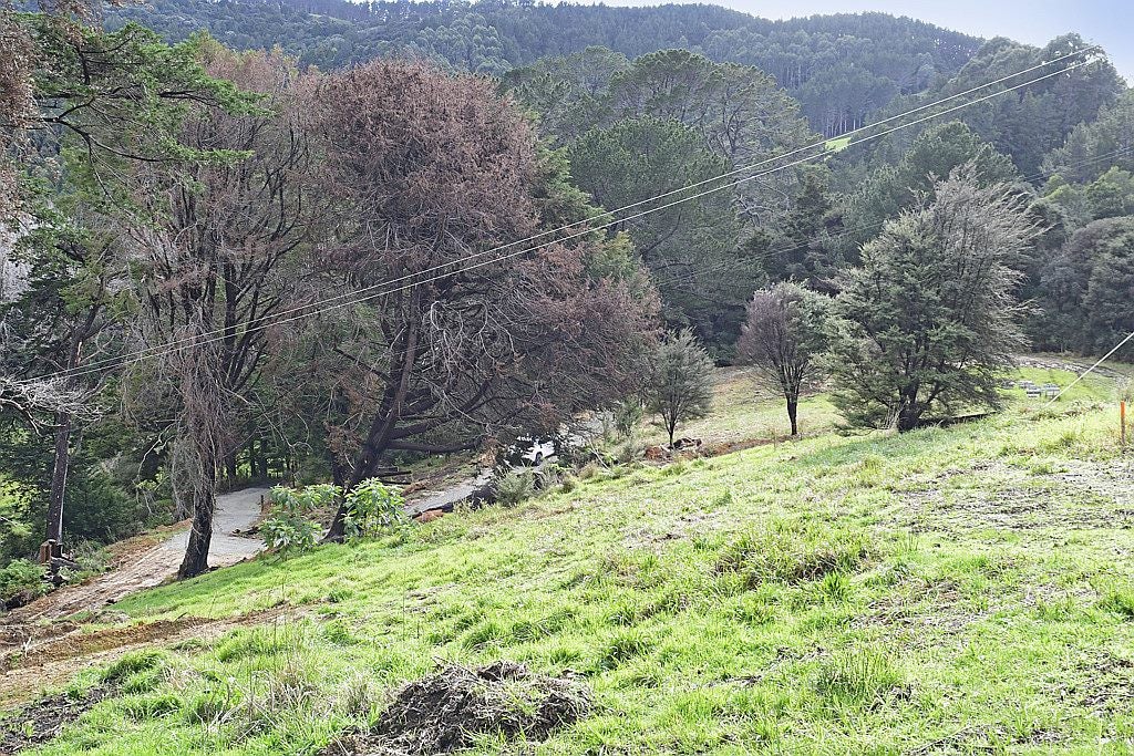 99 Birdsall Road, Whangateau - Carousel 2