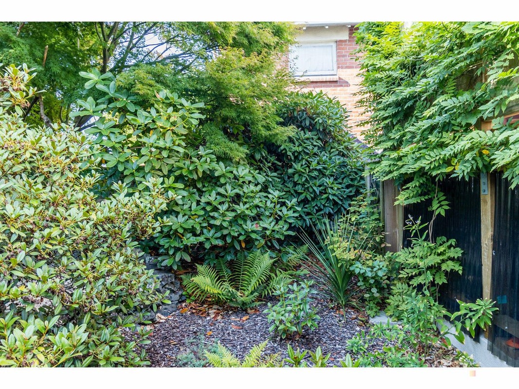 62 Le Cren Street, Seaview, Timaru - Carousel 34