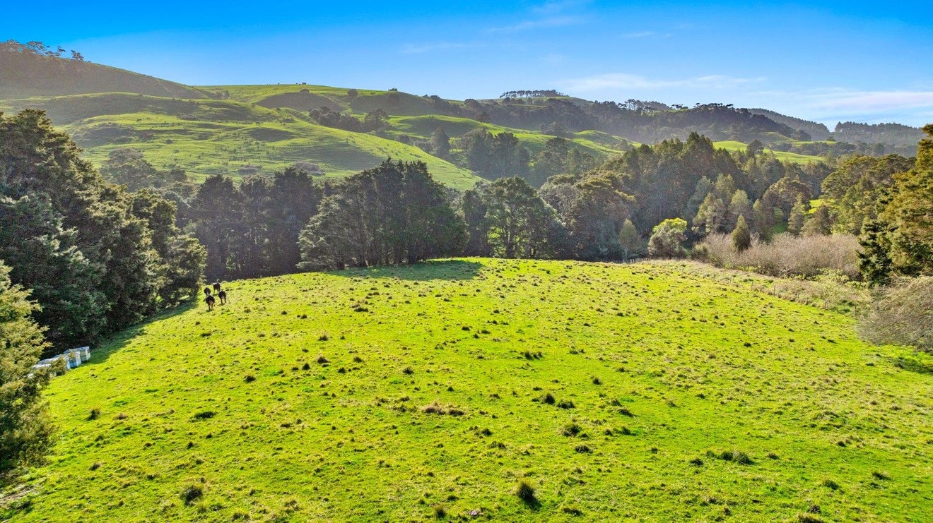 125A Taylor Road, Waikoukou Valley, Rodney - Carousel 1