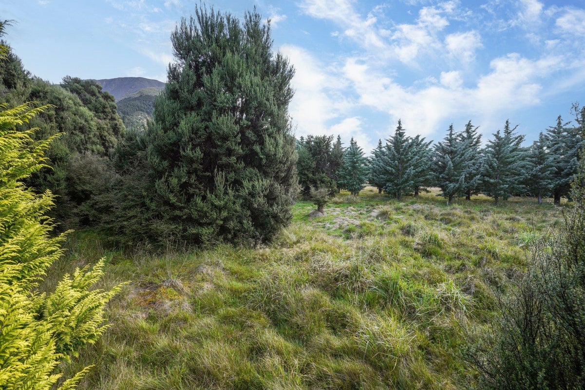 76 Mount Lyford Avenue, Lyford, Waiau - Carousel 19