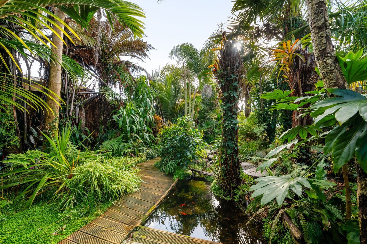 19 Metro Avenue, Nawton, Hamilton - Carousel 2