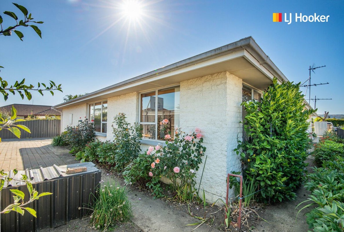 42A Ayr Street, Mosgiel, Mosgiel - Carousel 2