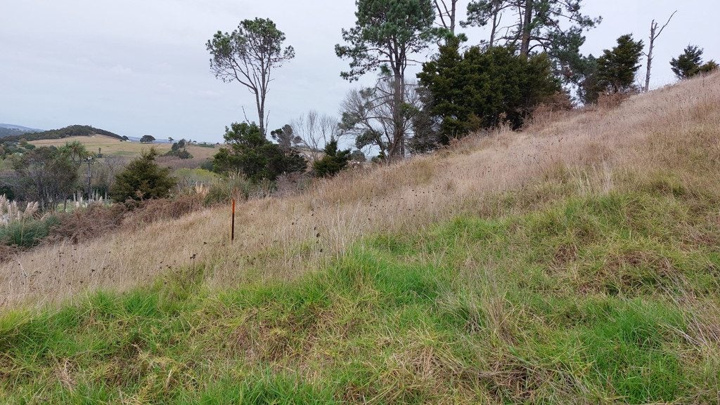 0 Wearmouth Road, Paparoa, Paparoa - Carousel 22