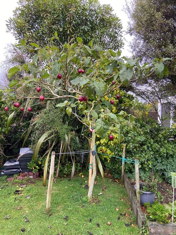 1274 Egmont Road, Egmont Village, New Plymouth - Carousel 13