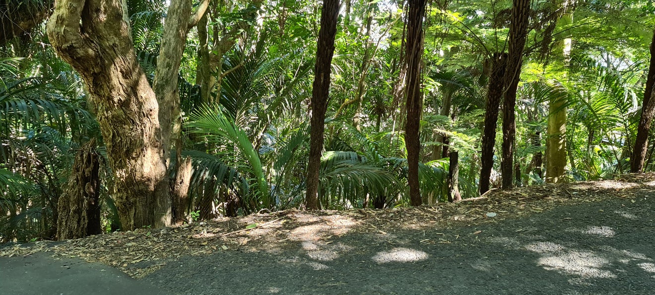 69 Trig Hill Road, Onetangi, Waiheke Island - Carousel 2