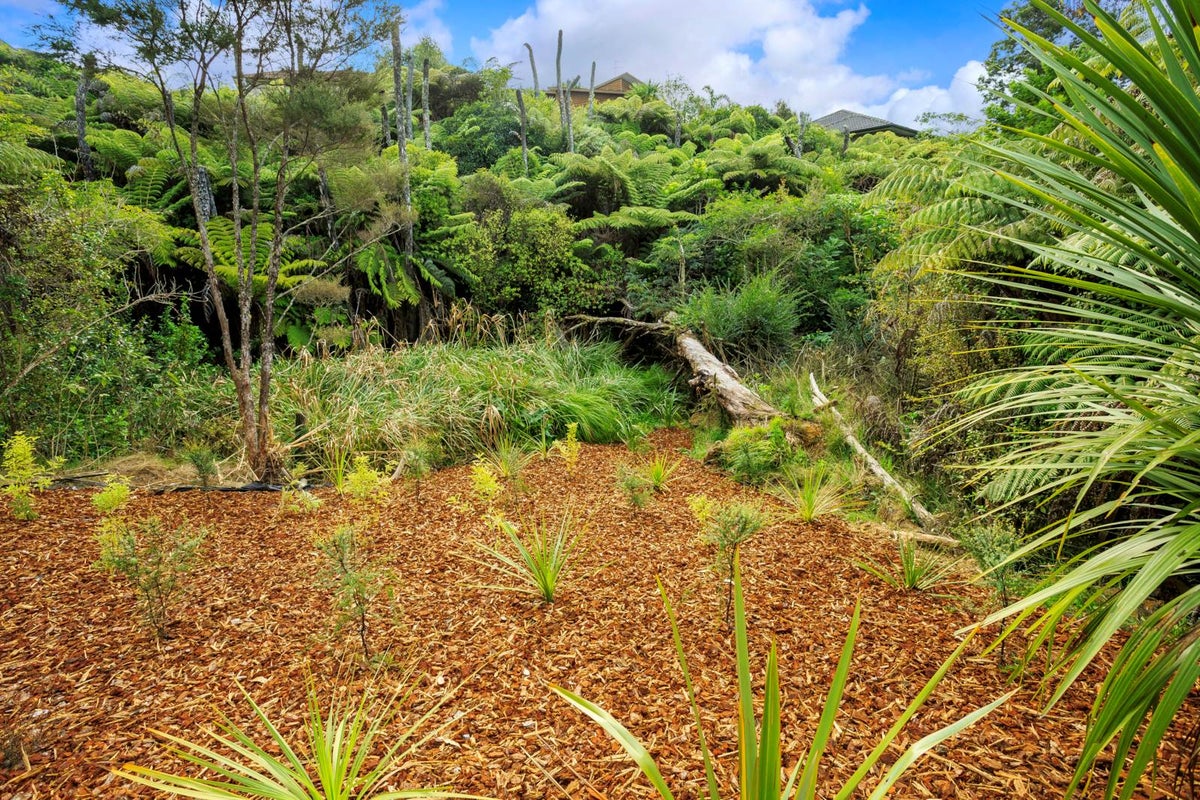 14 Korari Way, Unsworth Heights, Auckland - Carousel 23