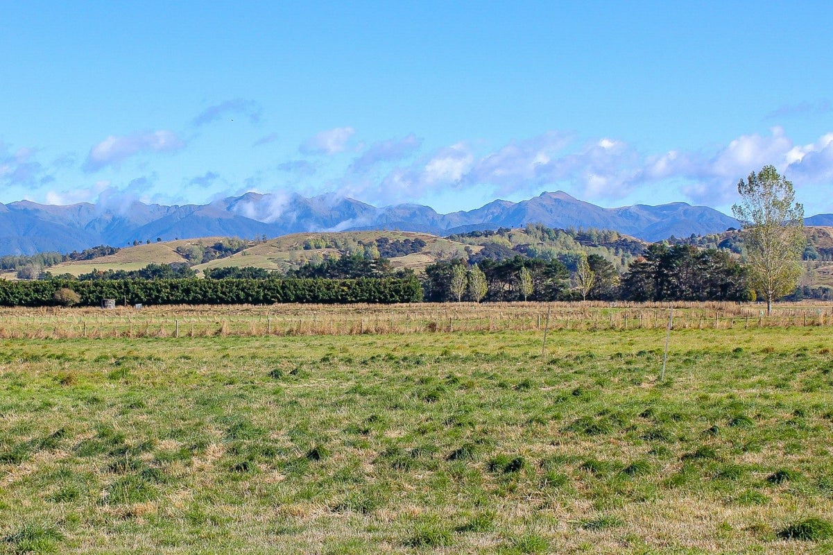 85 Budd Road, Upper Plain, Masterton - Carousel 1