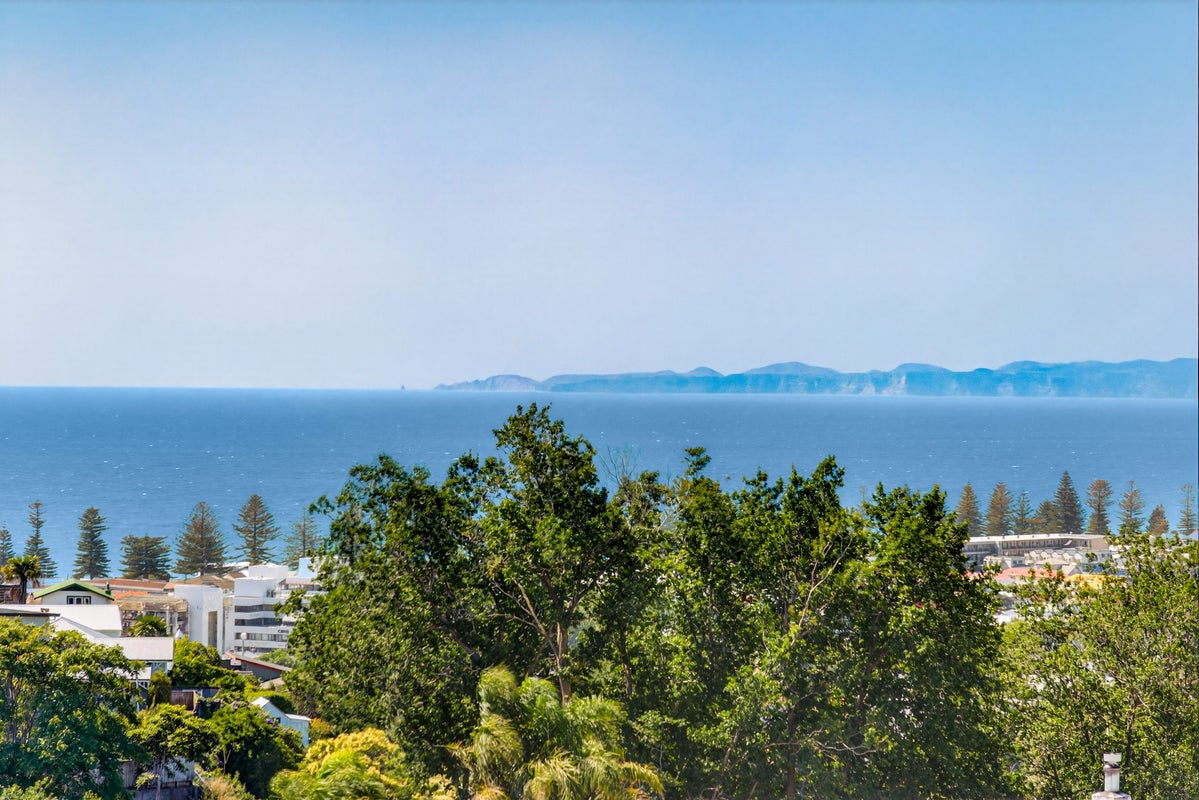 40 Milton Road, Bluff Hill, Napier - Carousel 2