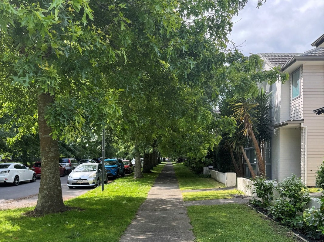 1 Kauri Drive, Takanini, Auckland - Carousel 23