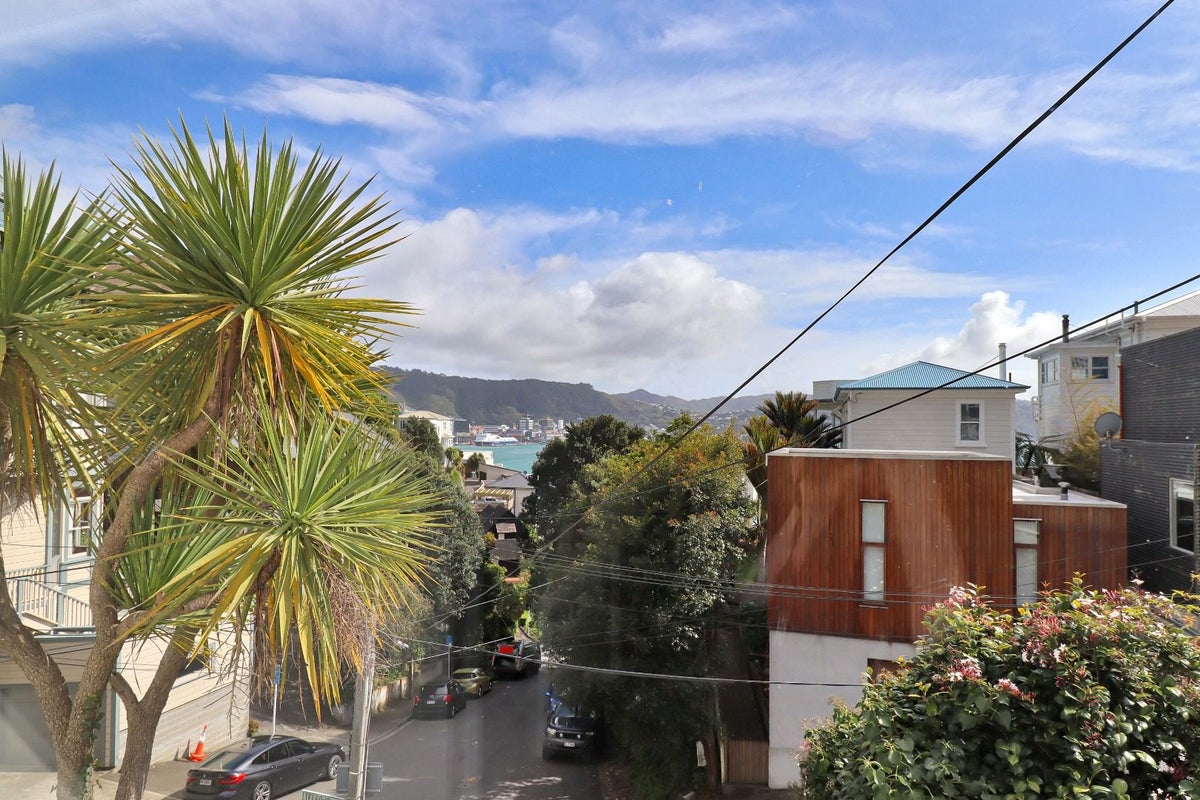 2 Telford Terrace, Oriental Bay, Wellington - Carousel 1