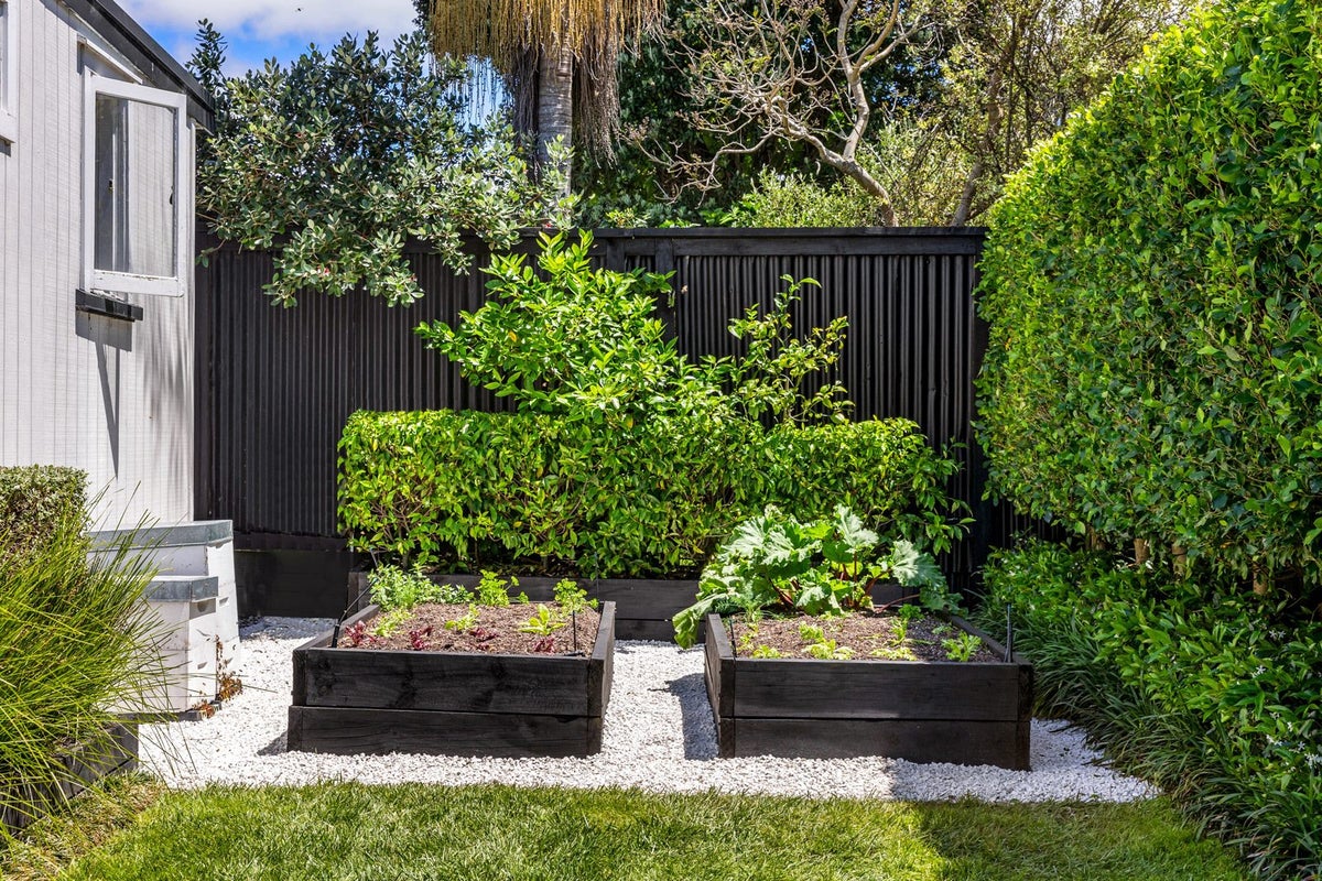 24 Riro Street, Point Chevalier, Auckland - Carousel 2