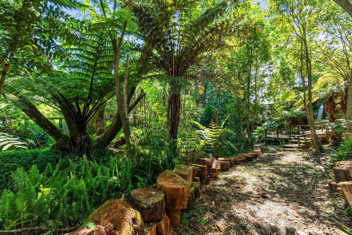 8 Homestead Place, Glenview, Hamilton - Carousel 16