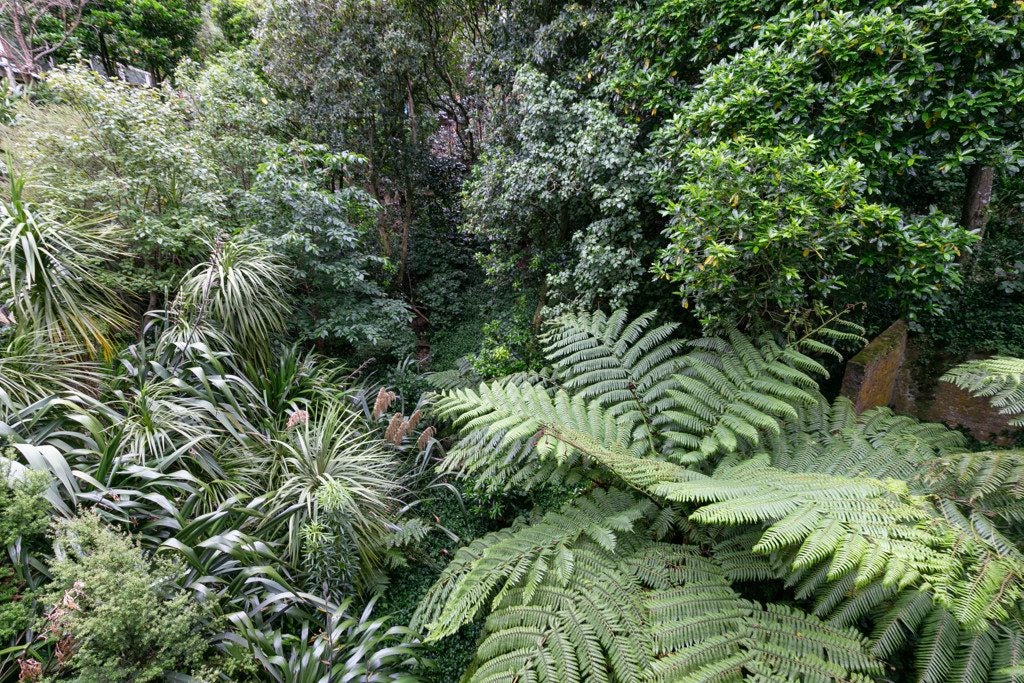 72B Sar Street, Wadestown, Wellington - Carousel 13