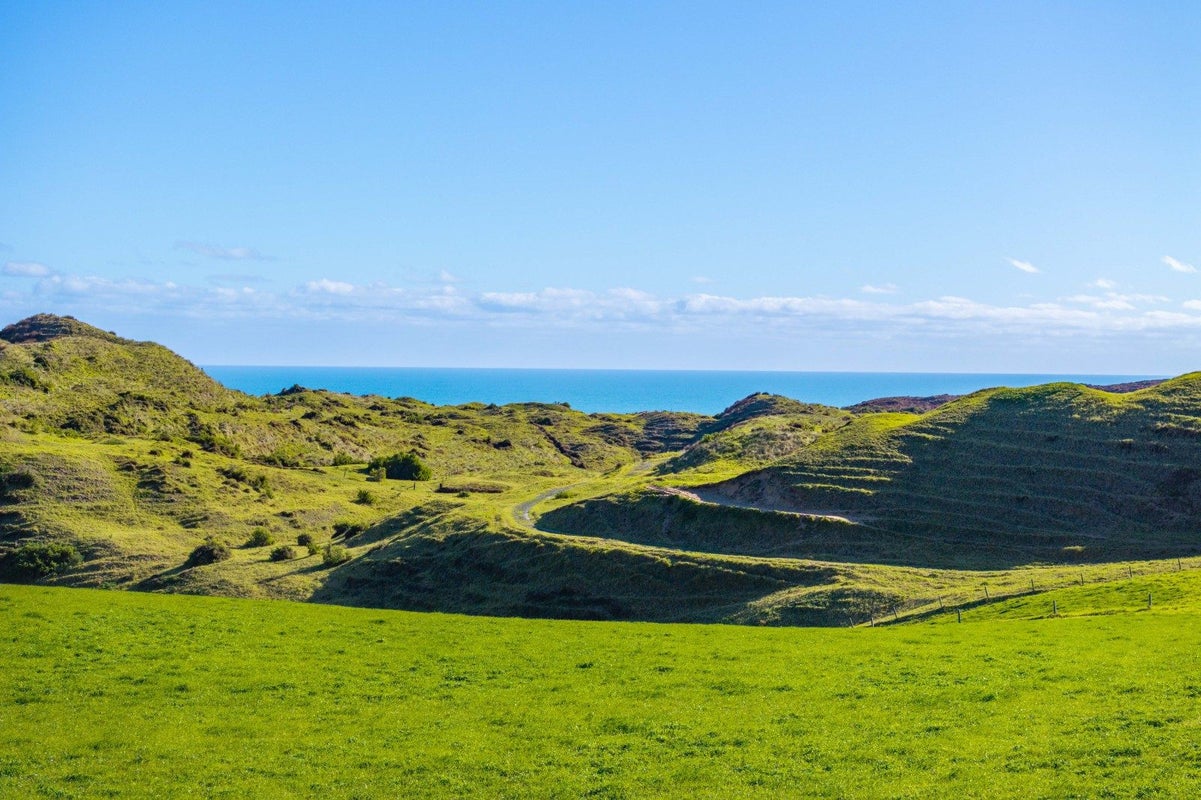 0 Mahuta Rd, Mahuta, Dargaville - Carousel 1