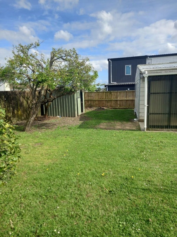 6 Balwyn Place, Clendon Park, Auckland - Carousel 24
