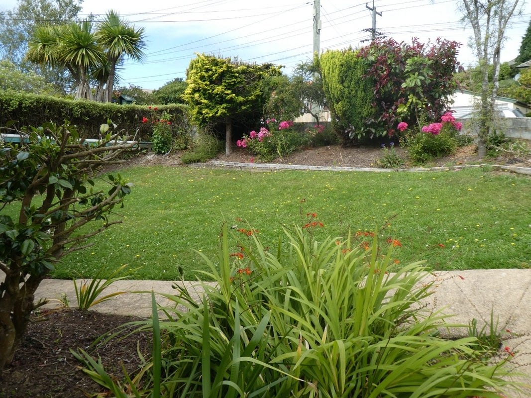 207 Helensburgh Road, Wakari, Dunedin - Carousel 2