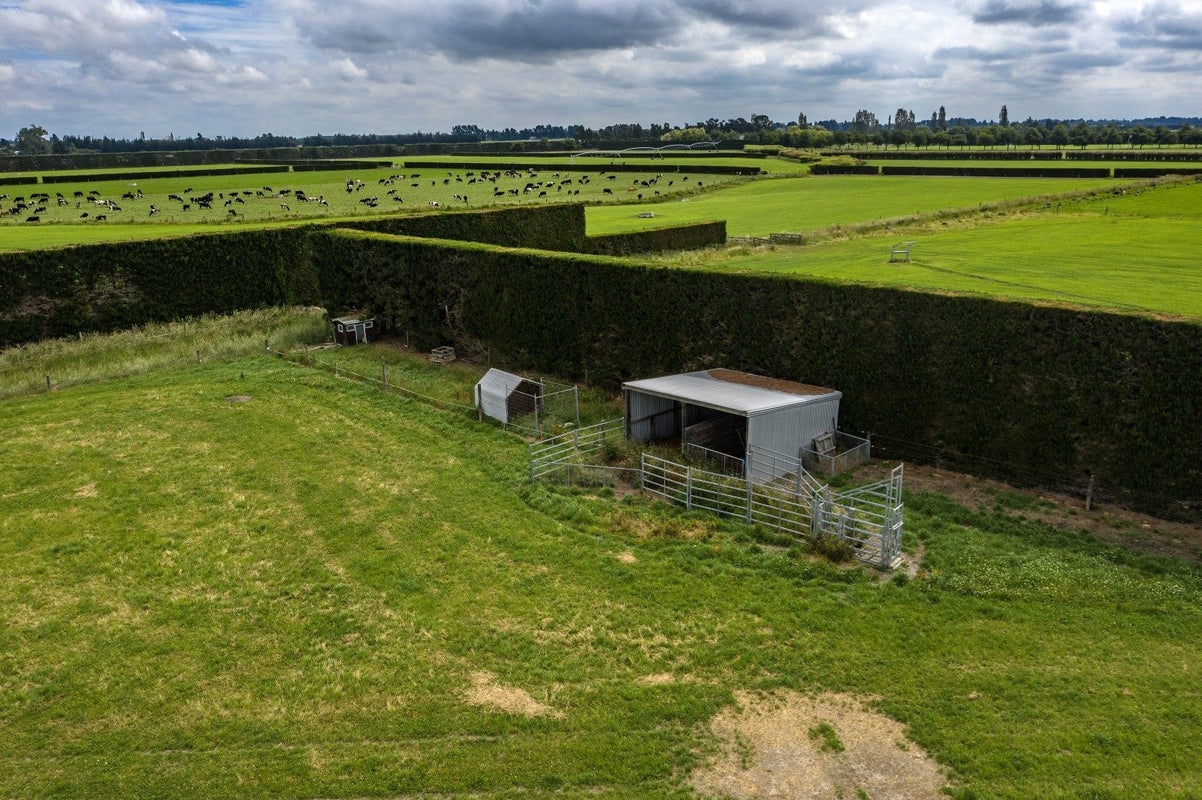 967 North Eyre Road, West Eyreton, Rangiora - Carousel 31