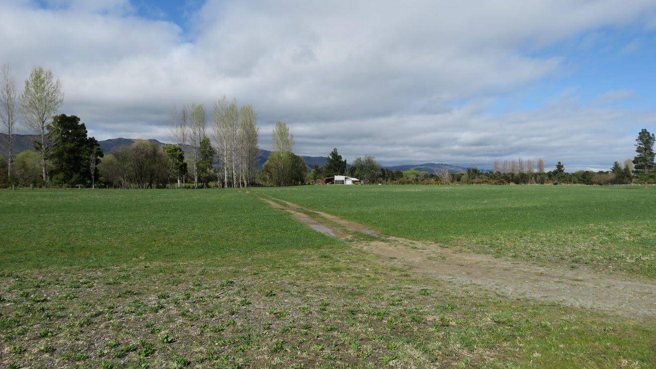 3957 Northbank Road, North Bank, Wairau Valley - Carousel 2