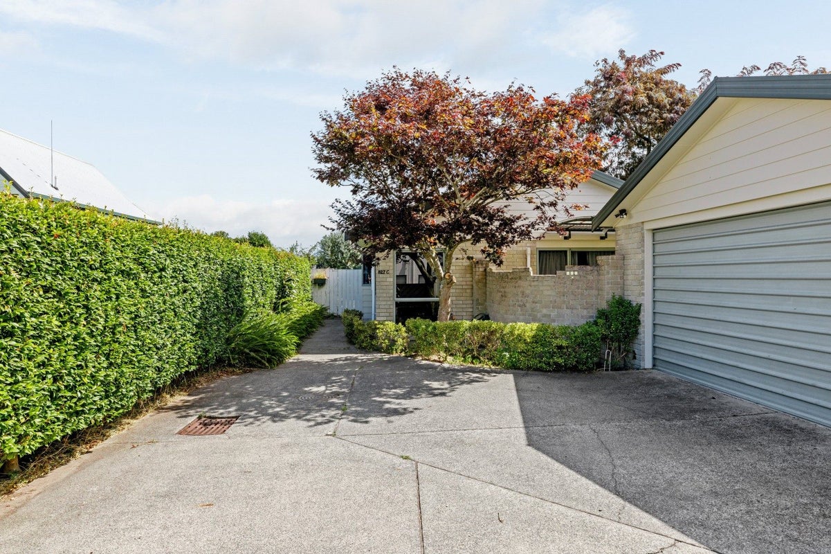 827C Heaphy Terrace, Claudelands, Hamilton - Carousel 18