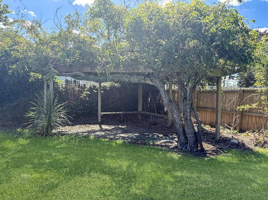 11 Orr Street, Netherby, Ashburton - Carousel 14