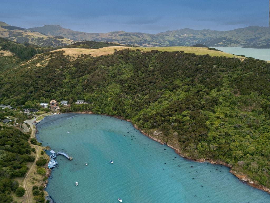 79 Tikao Bay Road, Wainui, French Farm - Carousel 48
