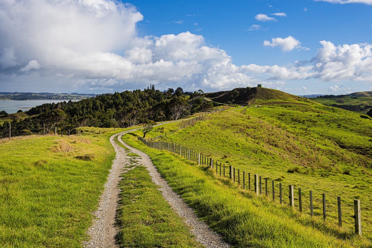 164 Beatson Road, Whakapirau - Carousel 19