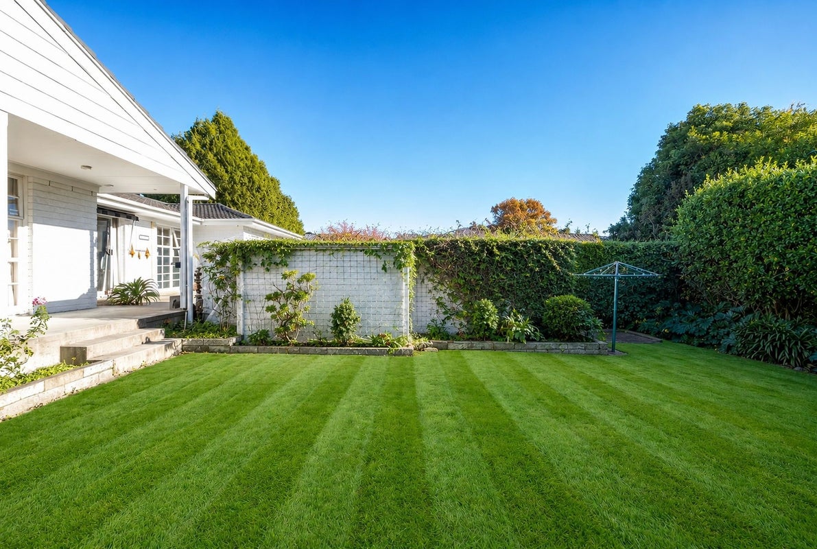 104 Poaka Avenue, Dinsdale, Hamilton - Carousel 13