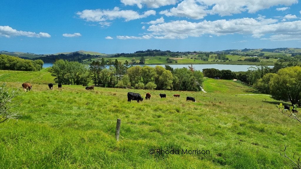 208 Petley Road, Paparoa - Carousel 2