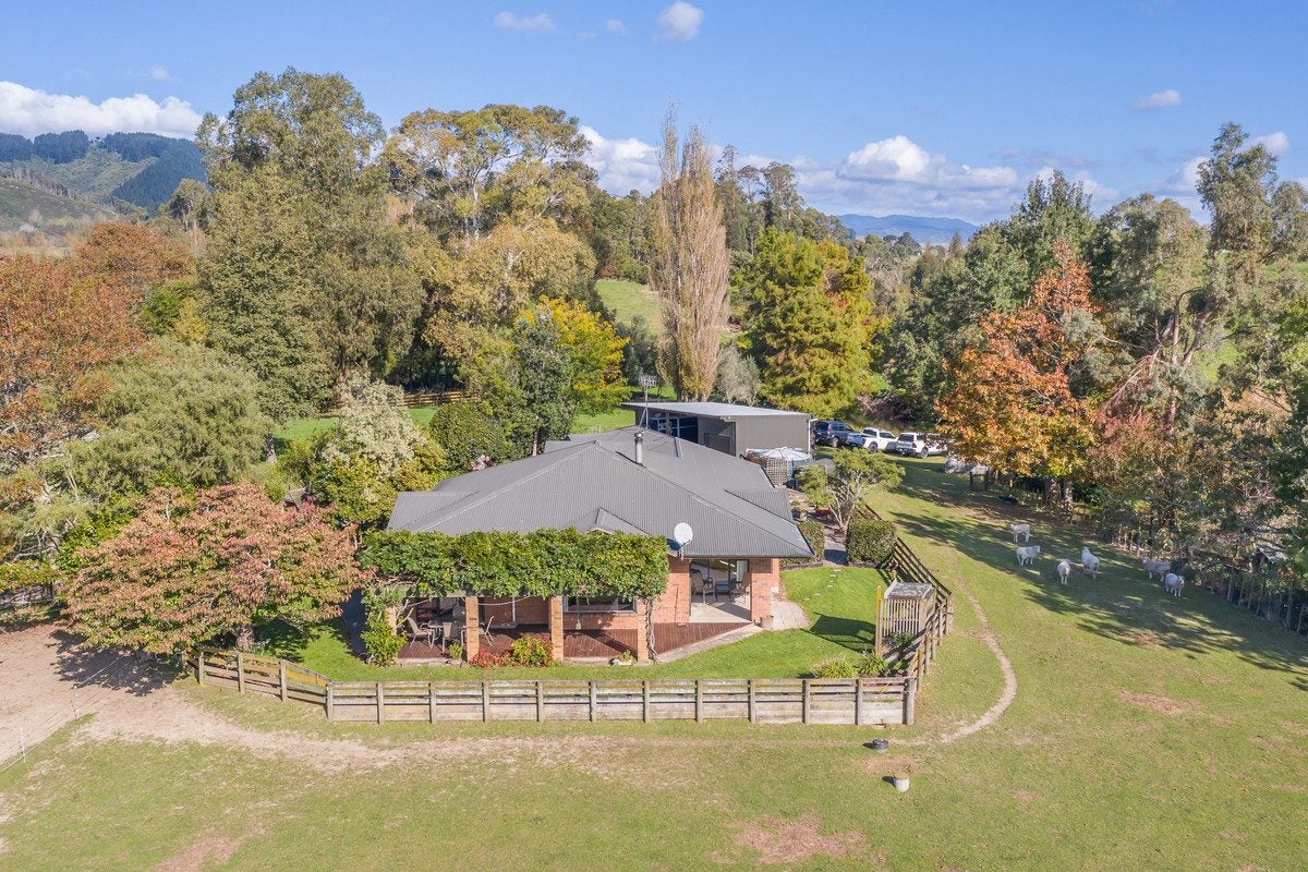 54 Potts Road, Koputaroa, Shannon - Carousel 2