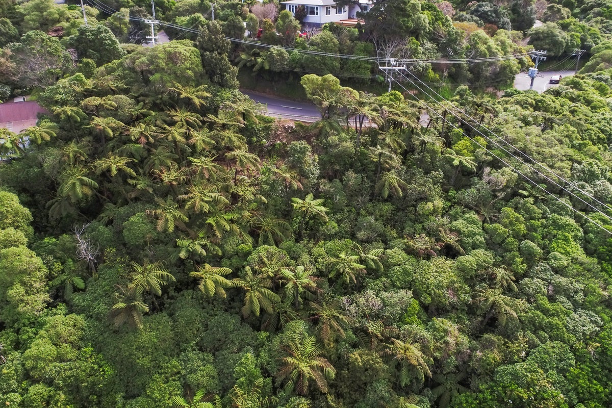 21A Akatea Road, Korokoro, Lower Hutt - Carousel 6