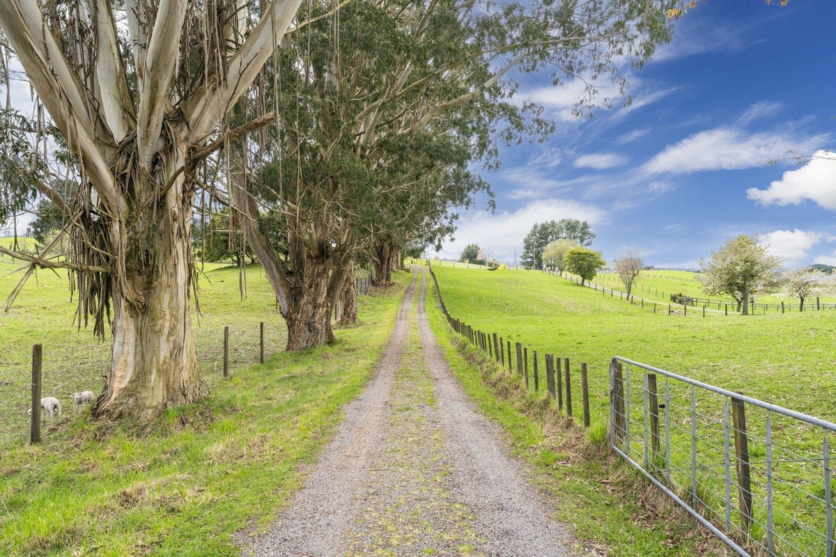 1156 Poihipi Road, Oruanui, Taupo - Carousel 26