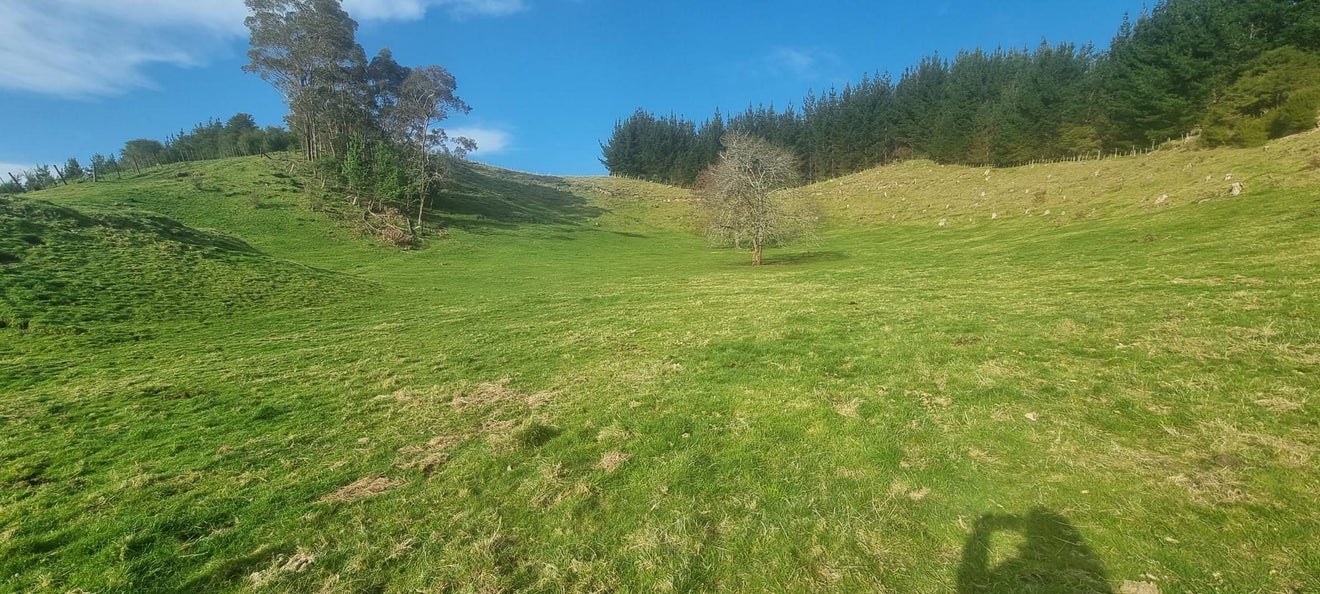 2877 State Highway 30, ONEPU, WHAKATANE - Carousel 29