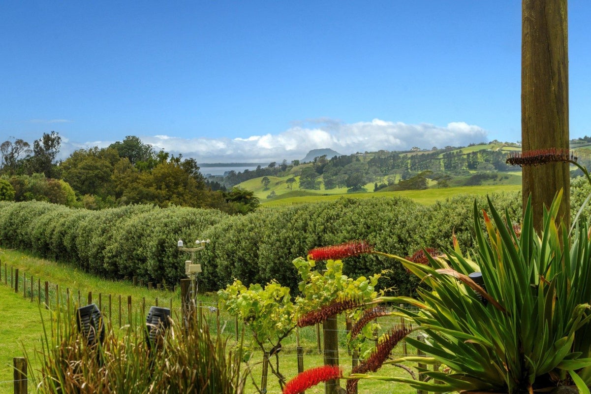 43 Goodall Road, Whakamarama, Tauranga - Carousel 1