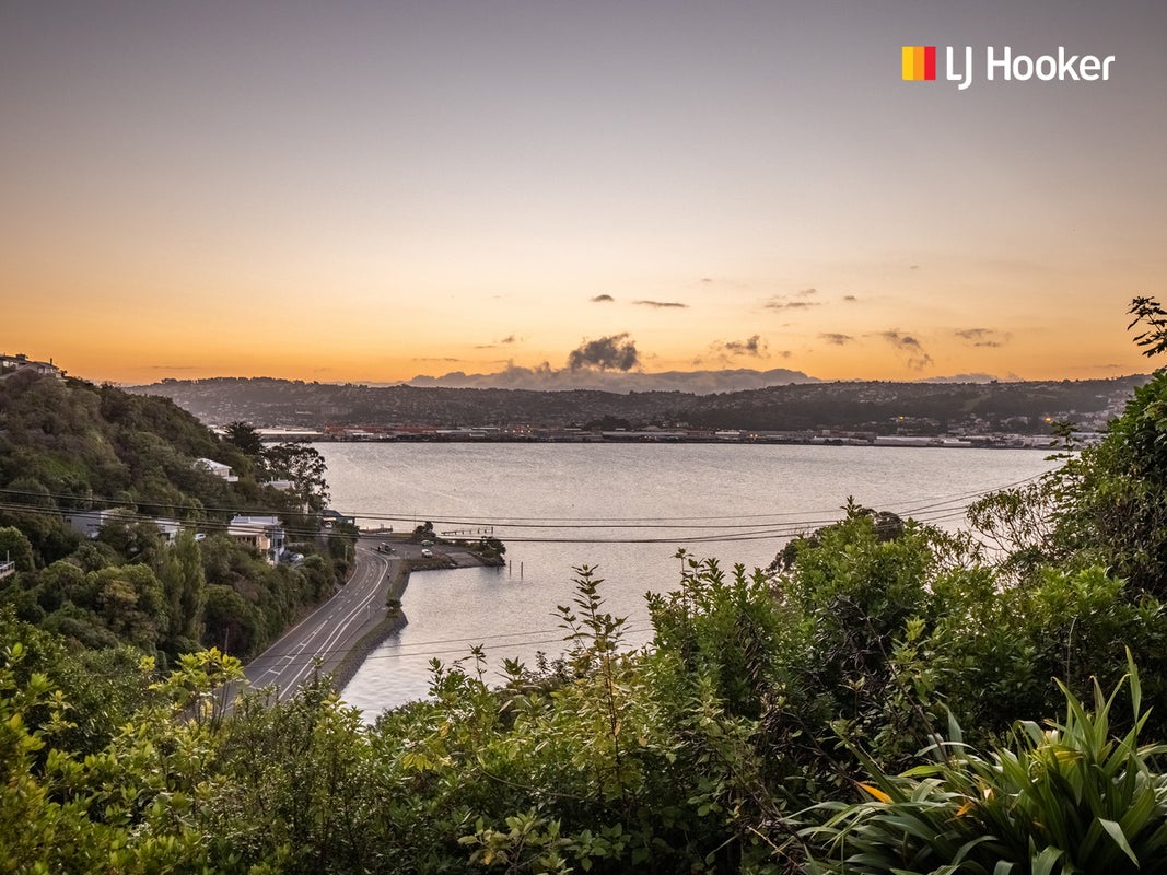 11 Glengyle Street, Vauxhall, Dunedin - Carousel 23
