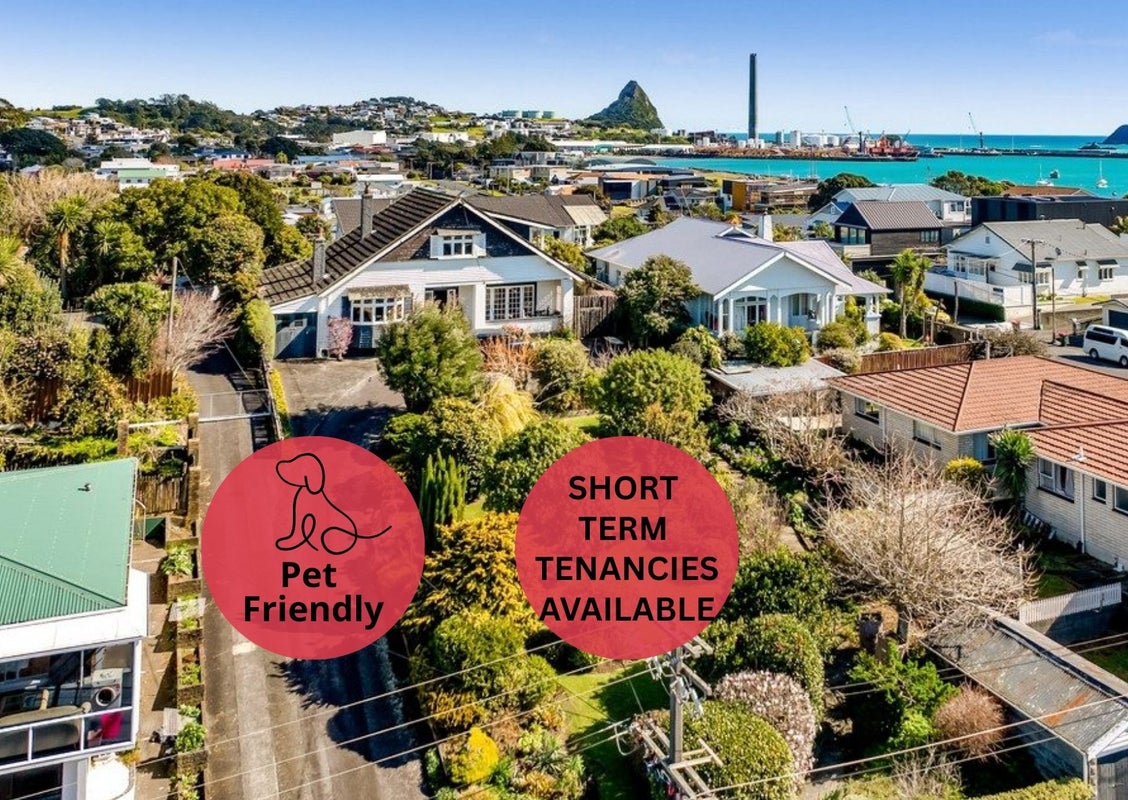 4 Kitchener Terrace, Moturoa, New Plymouth - Carousel 1