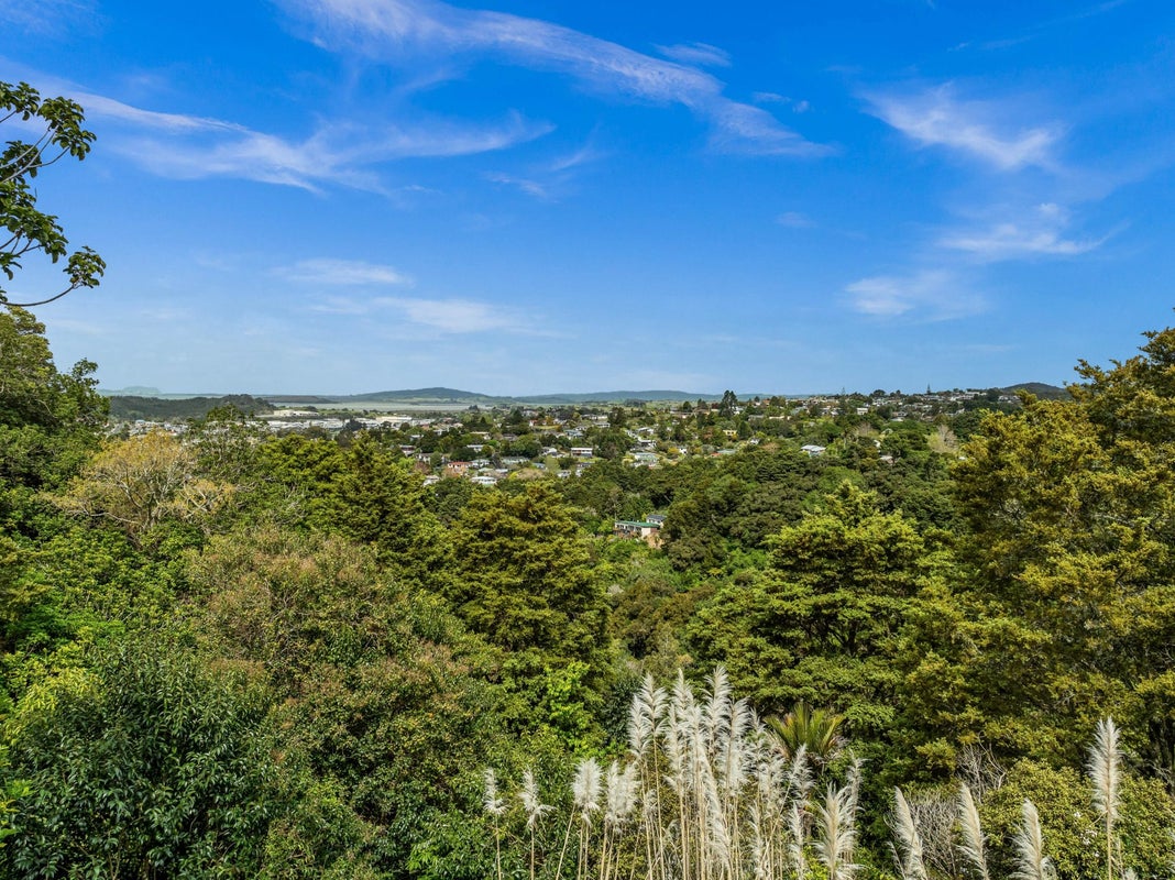 82 Ngahere Drive, Horahora, Whangarei - Carousel 21