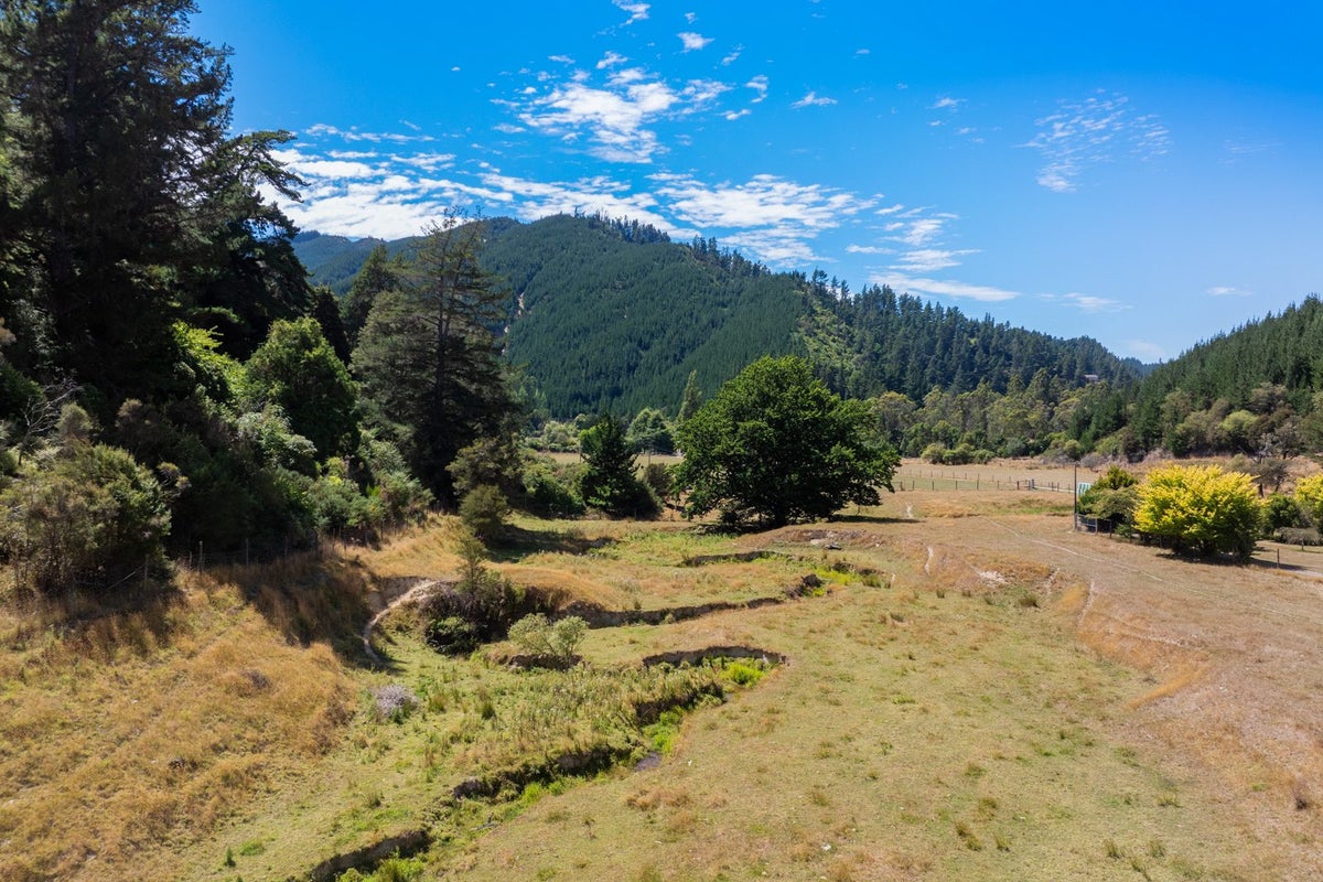 407 Onamalutu Road, Blenheim - Carousel 50