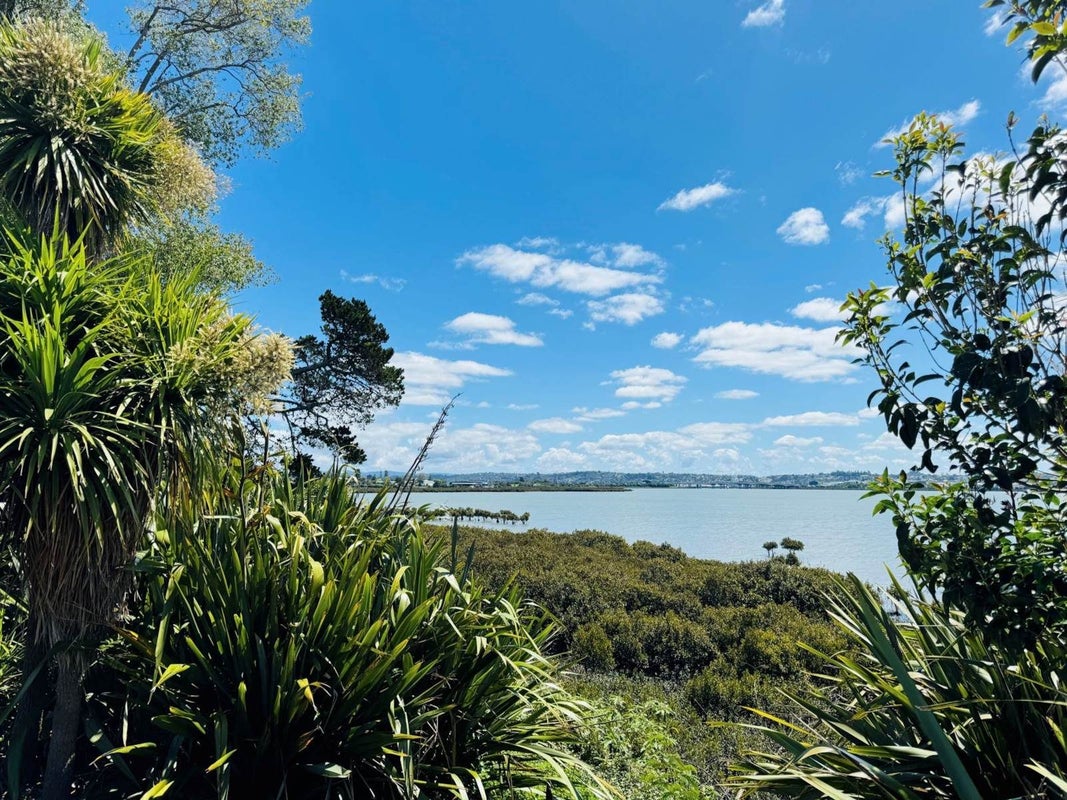 75A Hastie Avenue, Mangere Bridge, Auckland - Carousel 17