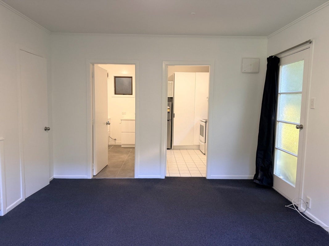 6 Balfour Street, Mornington, Wellington - Carousel 11