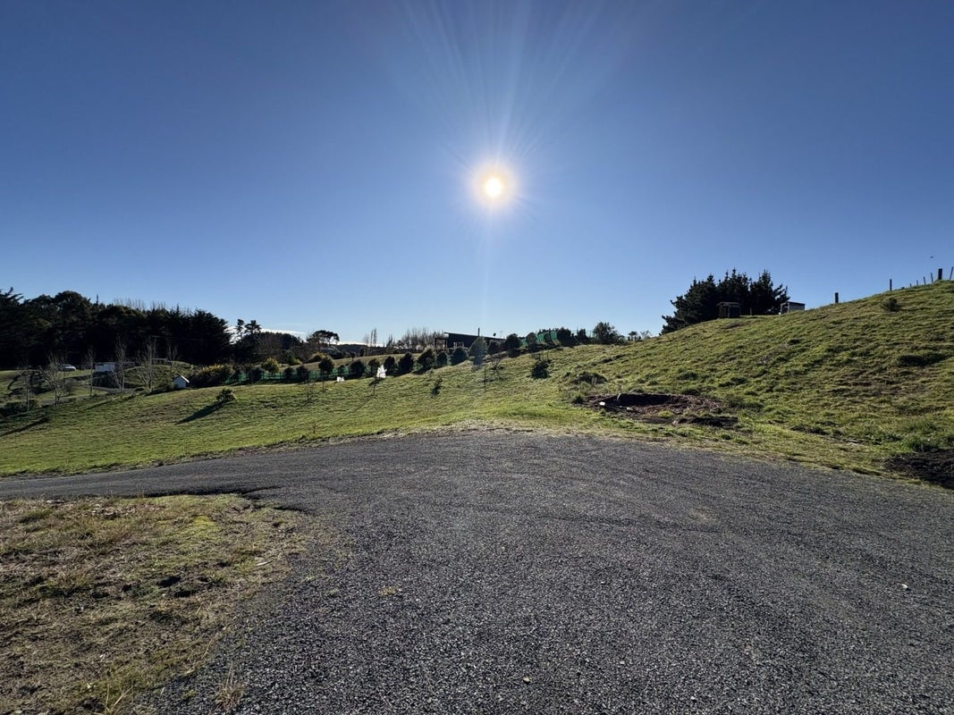 21 Kristin Place, Manakau, Levin - Carousel 21