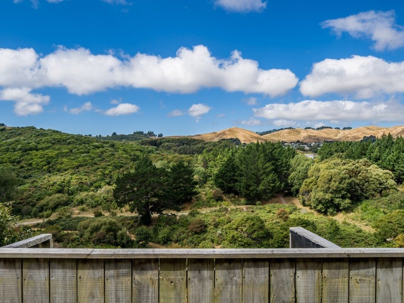 7 Catlins Glen, Aotea, Porirua - Carousel 21