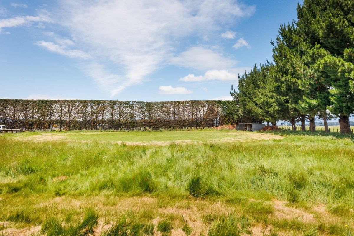0 Motuiti Road, Foxton, Foxton - Carousel 32