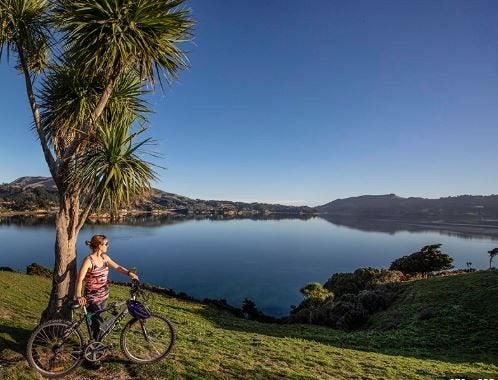 492 Portobello Road, Macandrew Bay, Dunedin - Carousel 14