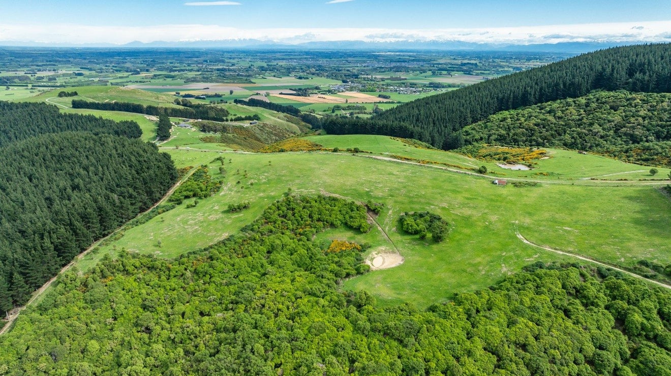 239 Cossars Road, TAI TAPU - Carousel 1