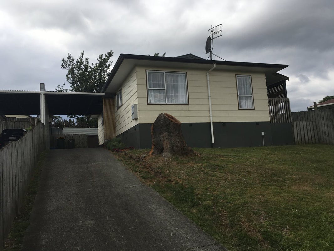 91B Homedale Street, Pukehangi, Rotorua - Carousel 11