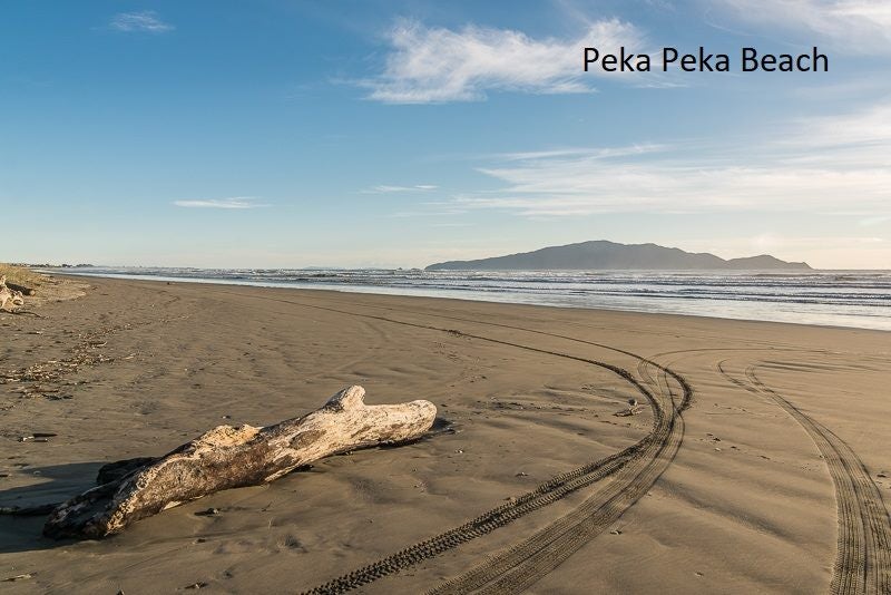 19 Raukawa Road, Peka Peka, Waikanae - Carousel 7