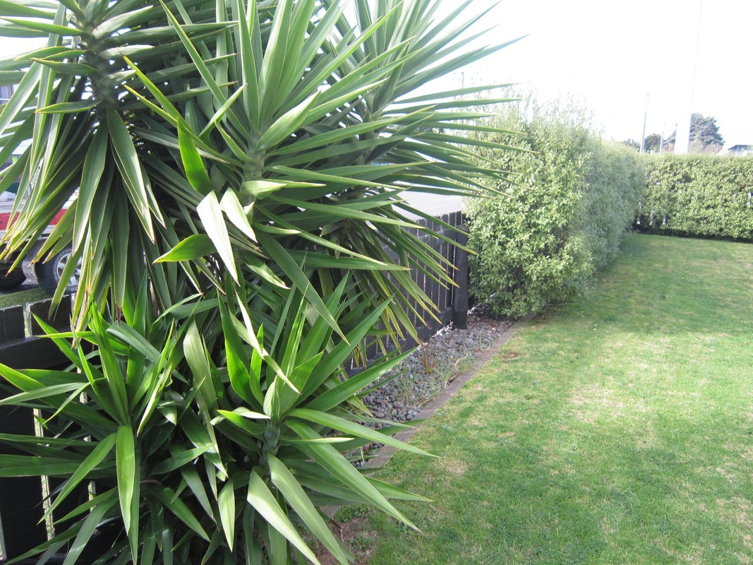9 Owen Street, Gonville, Whanganui - Carousel 2