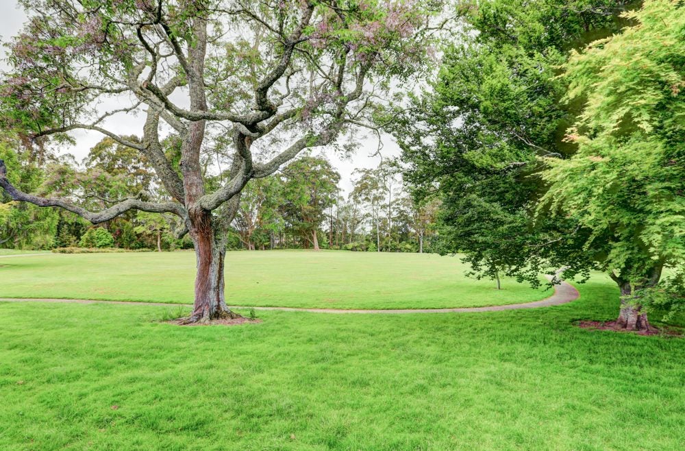 26 Te Anau Place, Glenview, Hamilton - Carousel 25