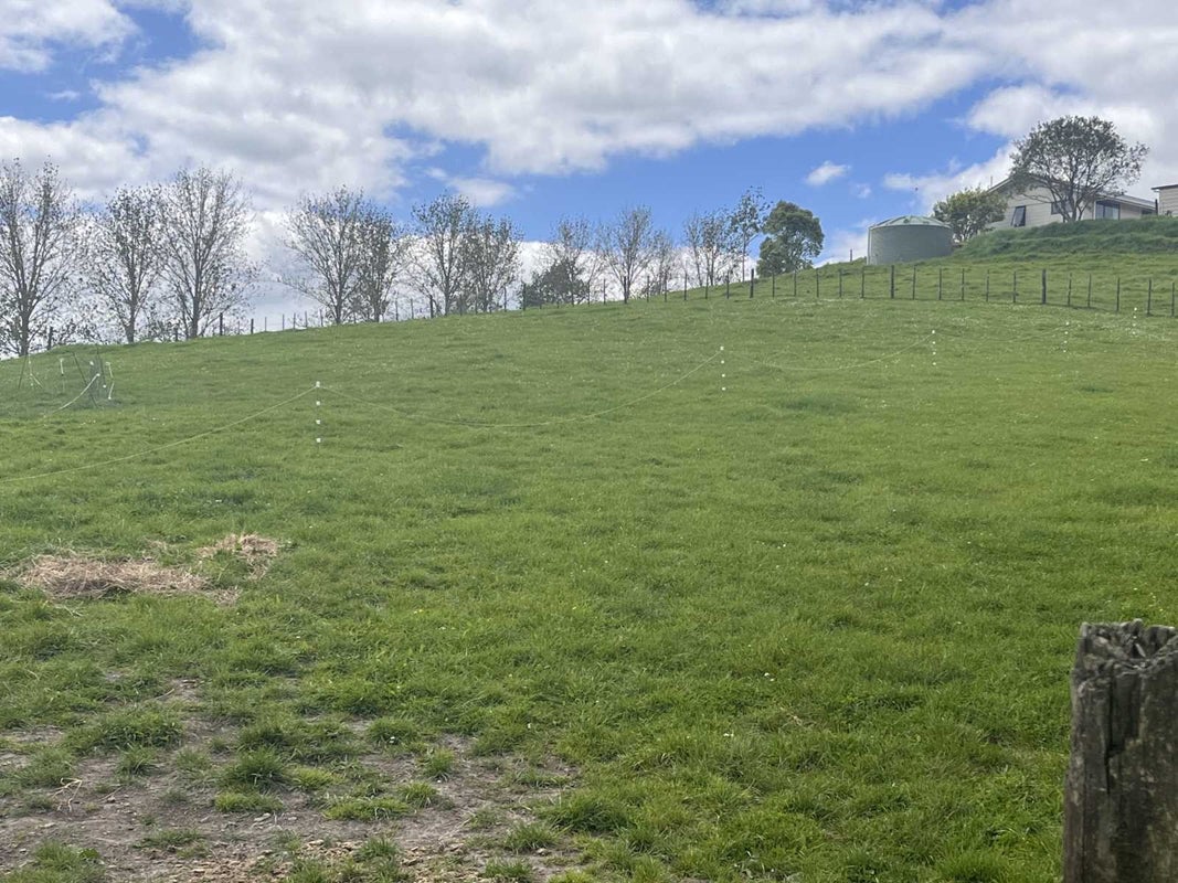 168A Kokopu Block Road, Maungatapere, Whangarei - Carousel 19