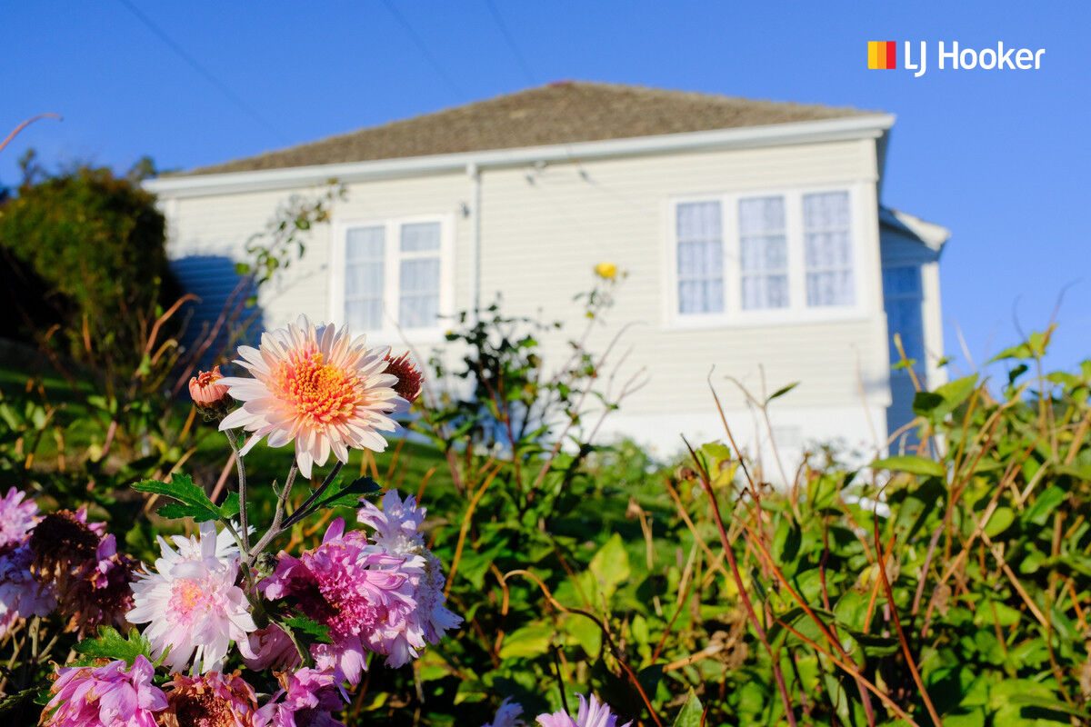 220 Hillingdon Street, Normanby, Dunedin - Carousel 14
